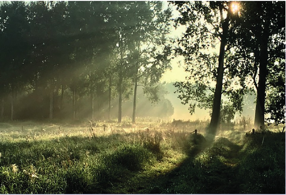 Dag van de Jager op 14 oktober — foto uit de wijkkrant, pagina 8