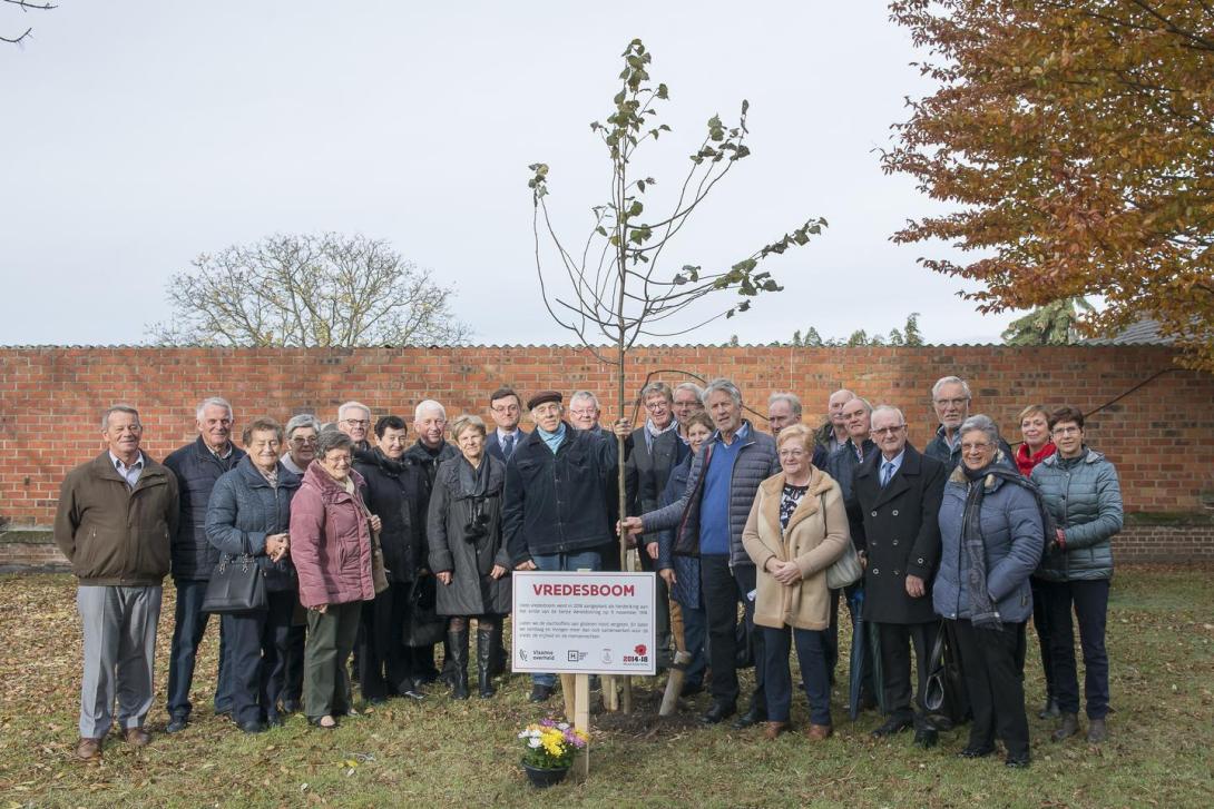 vredesboom
